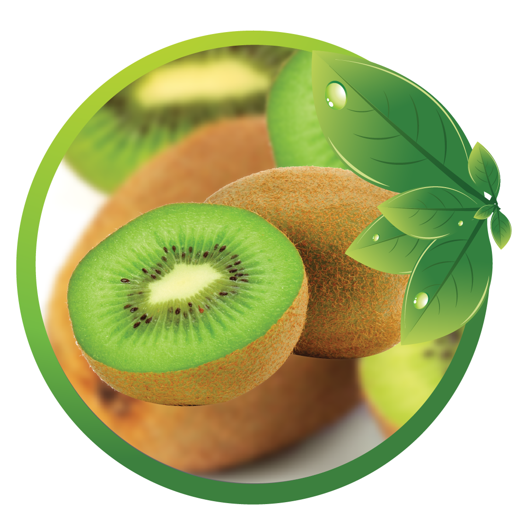 BUAH KIWI