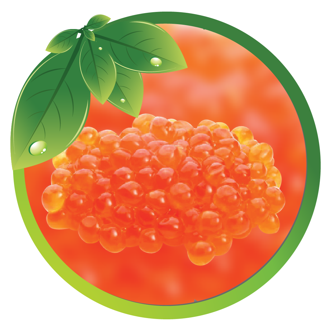 SALMON OVARY PEPTIDE